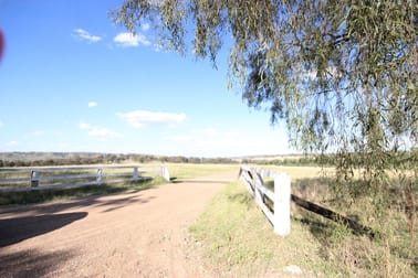 207 Redmanvale Road Jerrys Plains NSW 2330 - Image 2