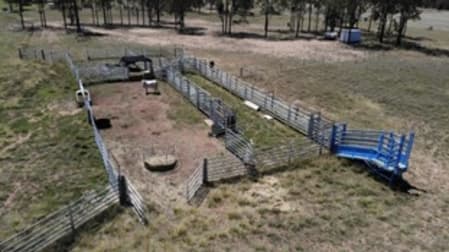 630 ACRES CATTLE GRAZING Jandowae QLD 4410 - Image 2