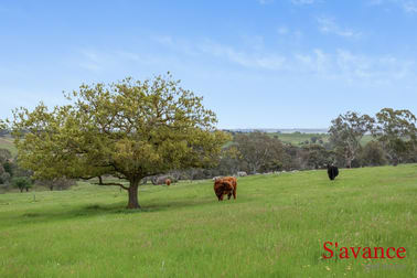 Click to view all images 165 Hamiltons Road Springton SA 5235 - Image 3