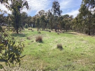 Lot 38C Lexton-Evansford Road Evansford VIC 3371 - Image 2