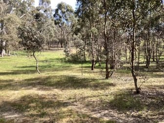 Lot 38B Lexton-Evansford Road Evansford VIC 3371 - Image 1