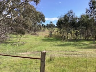 Lot 38B Lexton-Evansford Road Evansford VIC 3371 - Image 2