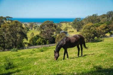 58 Sherringham Lane Central Tilba NSW 2546 - Image 3