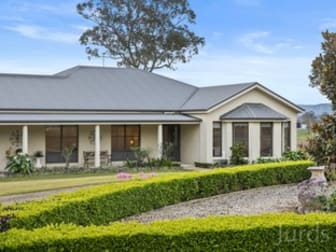 252 Tocal Road Bolwarra Heights NSW 2320 - Image 3