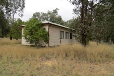 662 Oregon Road Balfours Peak NSW 2403 - Image 3