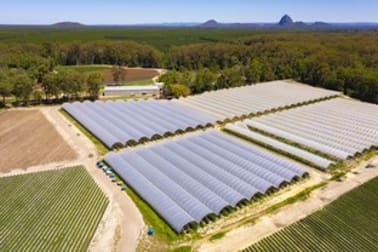 384 Mawsons Road Beerwah QLD 4519 - Image 1