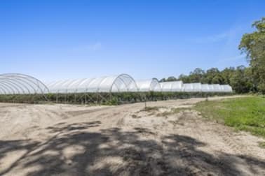 384 Mawsons Road Beerwah QLD 4519 - Image 3