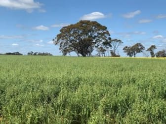 Narrogin Valley WA 6312 - Image 1