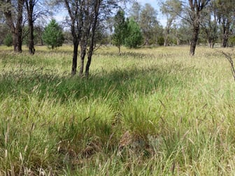 Click to view all images 0 Yanna Charleville QLD 4470 - Image 1