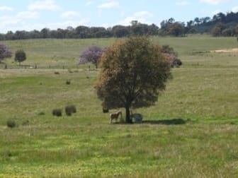 27A Rifle Range Road Amphitheatre VIC 3468 - Image 3