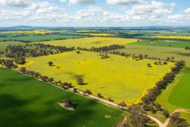 10 & 164/ Piggins Road Hopefield NSW 2646 - Image 1