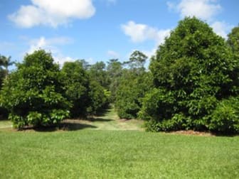 Granadilla QLD 4855 - Image 3