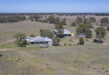 651 WANGMANS ROAD Baradine NSW 2396 - Image 1