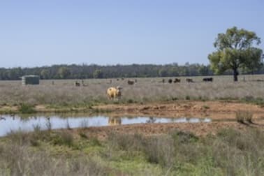 651 WANGMANS ROAD Baradine NSW 2396 - Image 3