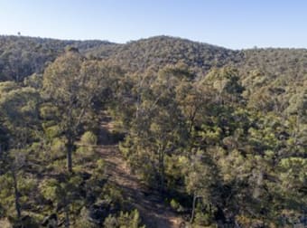 Click to view all images 40 Sheldon Track Fryerstown VIC 3451 - Image 3