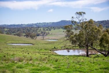 453 Moredun Road Ben Lomond NSW 2365 - Image 1