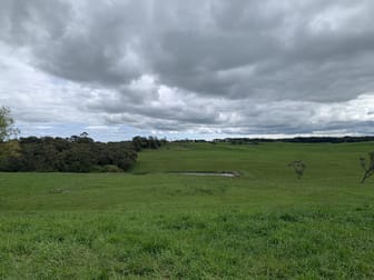 157A/ Williams Road Simpson VIC 3266 - Image 2
