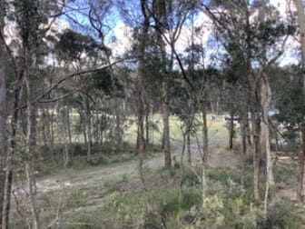 157 Warra Forest Road Mount Mitchell NSW 2365 - Image 3