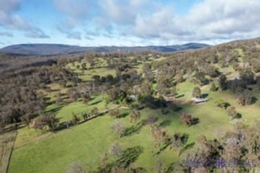 12327 New England Highway Metz NSW 2350 - Image 3
