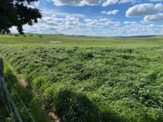 3 Wilton Lane Gunning NSW 2581 - Image 2