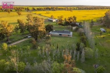 9401 Sturt Highway Narrandera NSW 2700 - Image 1