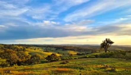 lot 138/1578 Blakney Creek North Road Bevendale NSW 2581 - Image 1