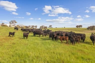 "Merricroft"  44 Merricroft Road Goulburn NSW 2580 - Image 3