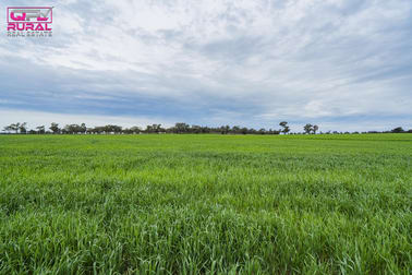 2/272 Glynburn Road Temora NSW 2666 - Image 1