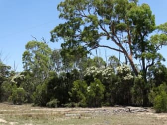 Lot 15 Mary Road Wieambilla QLD 4413 - Image 3