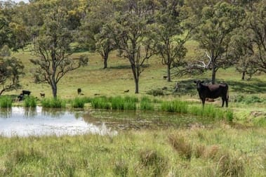 Watsons Creek NSW 2355 - Image 2