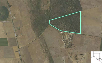 Lot 1 Kennys Road Naracoorte SA 5271 - Image 3