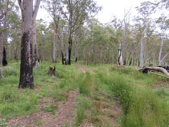 'Lands End/1600 Lands End Road Red Range NSW 2370 - Image 3