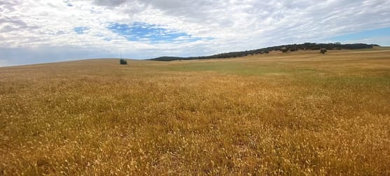 Click to view all images 737 Blackett Road Parrakie SA 5301 - Image 1