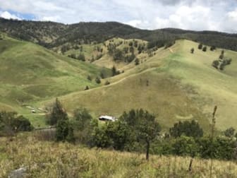* Owens Trail Cobark NSW 2422 - Image 1