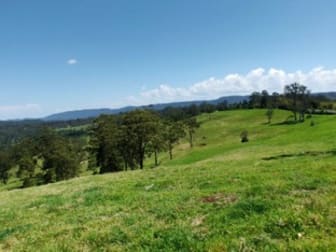 4743 Kyogle Road Wadeville NSW 2474 - Image 1