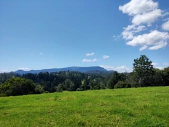 4743 Kyogle Road Wadeville NSW 2474 - Image 2
