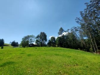 4743 Kyogle Road Wadeville NSW 2474 - Image 3