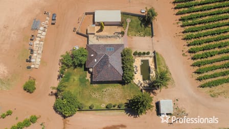 44 Boomerang Avenue Irymple VIC 3498 - Image 1