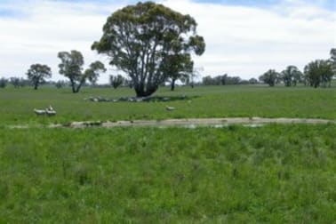 Click to view all images 208 Barkers Lake Road Bungarby NSW 2630 - Image 1