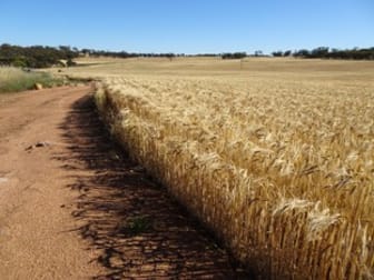 Lot 804 Shaddick Road East Pingelly WA 6308 - Image 1