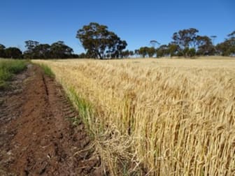 Lot 804 Shaddick Road East Pingelly WA 6308 - Image 2