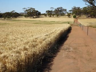 Lot 804 Shaddick Road East Pingelly WA 6308 - Image 3