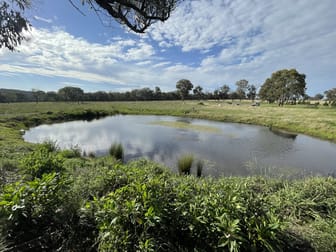 1308 Torrington Road Stannum NSW 2371 - Image 3