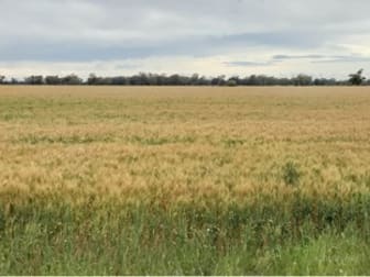 Weemala The McGrane Way Tullamore NSW 2874 - Image 1