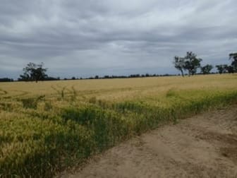 1 Humeden Road Collendina NSW 2646 - Image 3