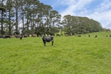 2109 Murchison Highway Henrietta TAS 7325 - Image 2