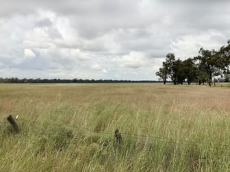 . Woodrow Parkes NSW 2870 - Image 1