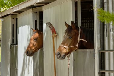 2167 KIEWA VALLEY HWY Kergunyah VIC 3691 - Image 3