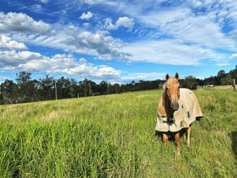 22 Forest Hill Fernvale Road Forest Hill QLD 4342 - Image 1