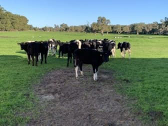 Enrick Farm, Orton Road Oldbury WA 6121 - Image 1